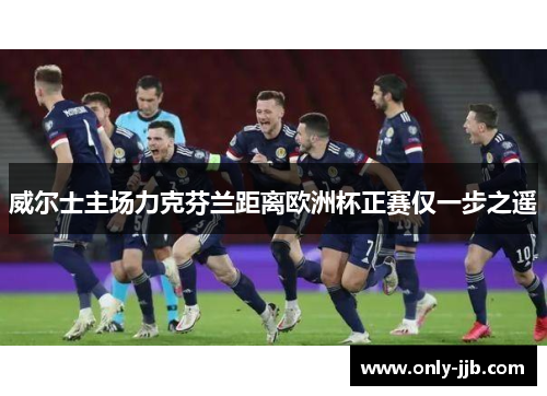威尔士主场力克芬兰距离欧洲杯正赛仅一步之遥