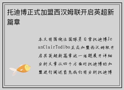 托迪博正式加盟西汉姆联开启英超新篇章